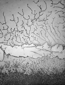 Topographie des larmes