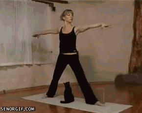 13-yoga-cat-cute-girl-gifs