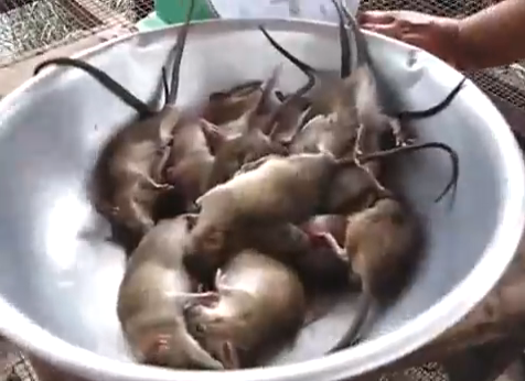 Capture-d%E2%80%99%C3%A9cran-2014-05-28-