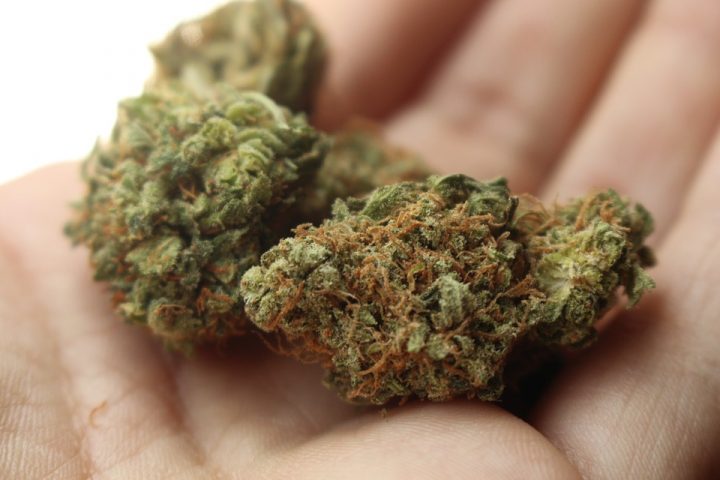 cannabis-720x480.jpg