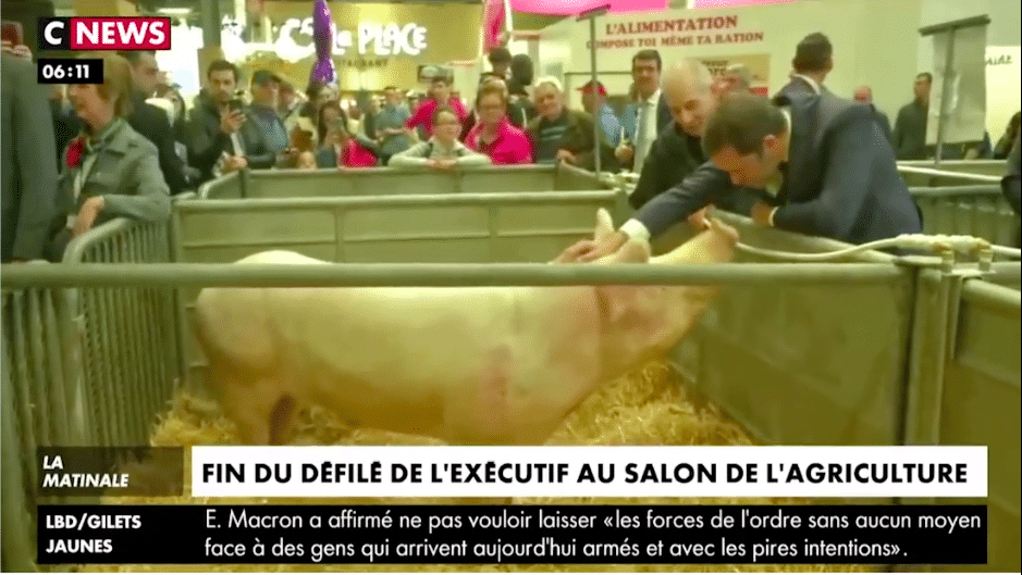 Christophe Castaner se fait presque embrasser par un cochon au salon de l