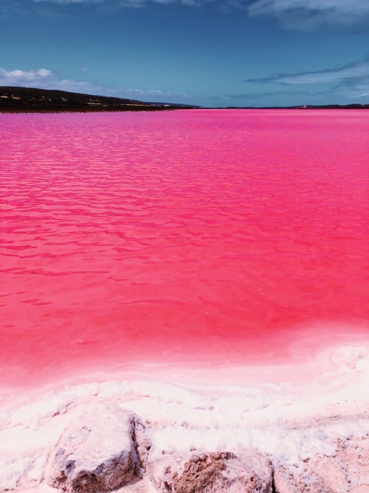 Découvrez les magnifiques photos du lagon de Hutt, un lac rose situé en