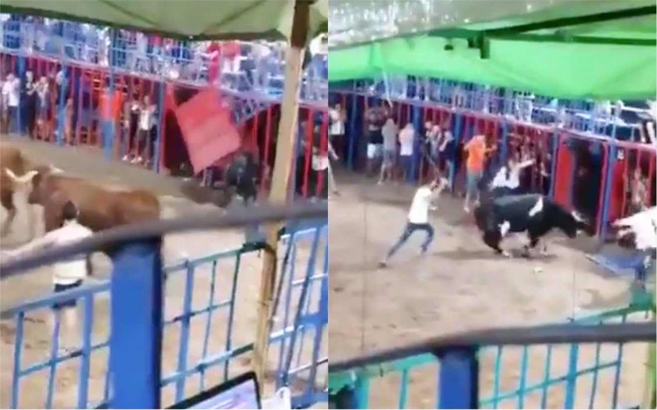 Garcon Qui Tombe D Une Attraction Video