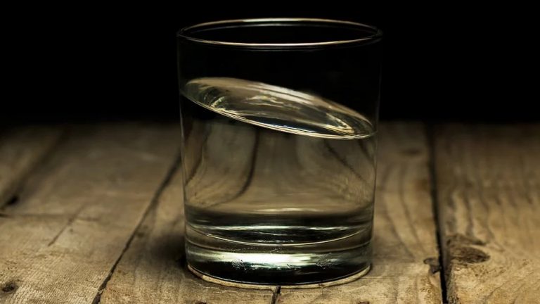 Blague Quel Est L'animal Qui Tient Le Moins Bien L'alcool