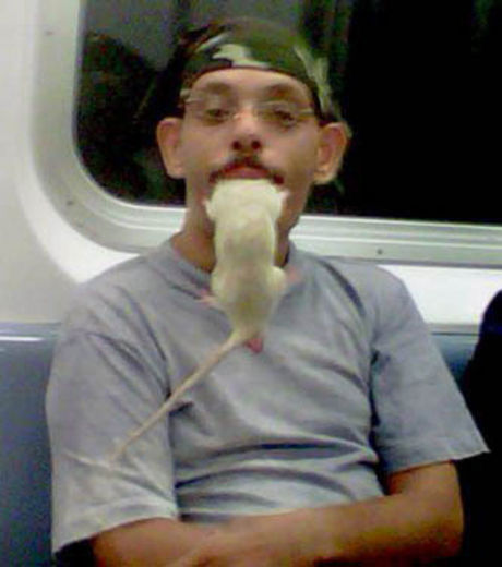 cet-homme-prend-le-metro-avec-un-rat-dans-la-bouche_113549_w460