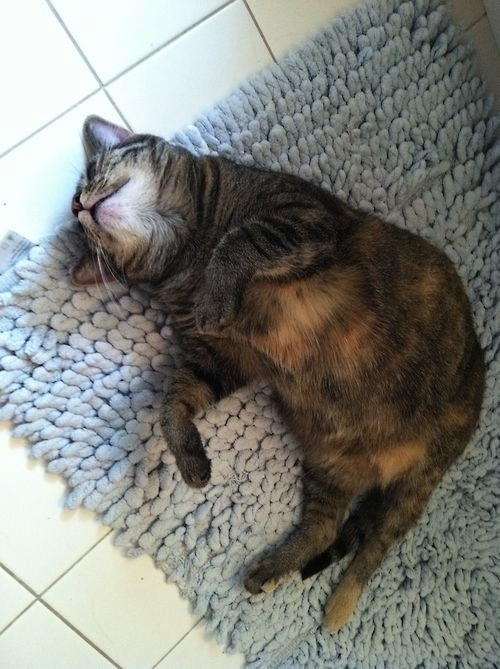 enhanced-buzz-12319-1360191436-6