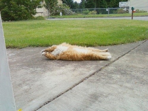 enhanced-buzz-6639-1360189202-10