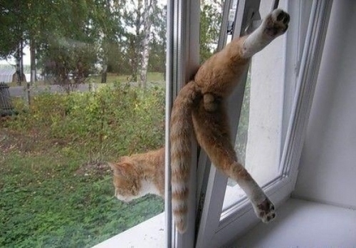 enhanced-buzz-9109-1360189197-5