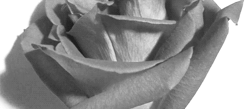 tumblr_inline_mkxjmstVLr1qz4rgp