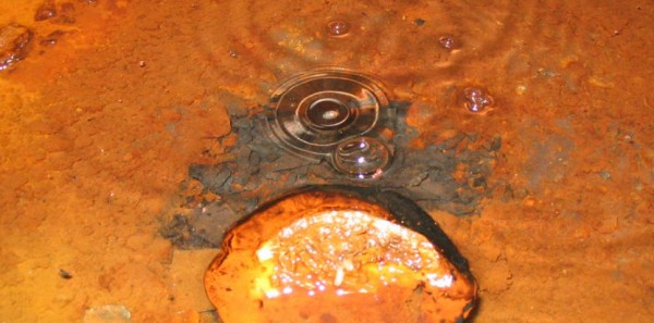 source : nouvelobs.com