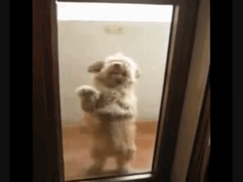 anigif_enhanced-buzz-29418-1363041711-18