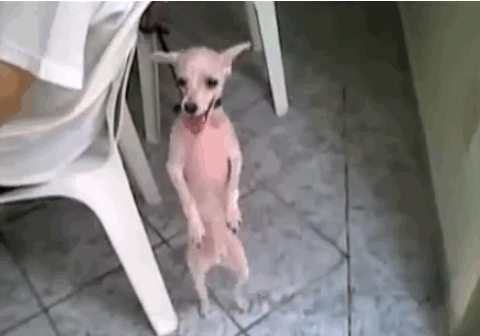 anigif_enhanced-buzz-31324-1363042300-5