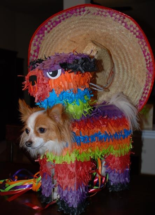 enhanced-buzz-10669-1363043669-0