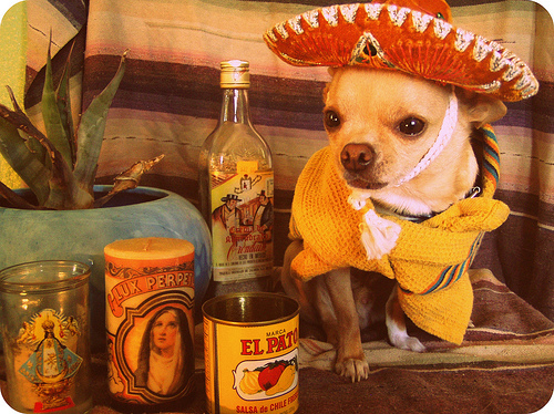 enhanced-buzz-14729-1363021110-2