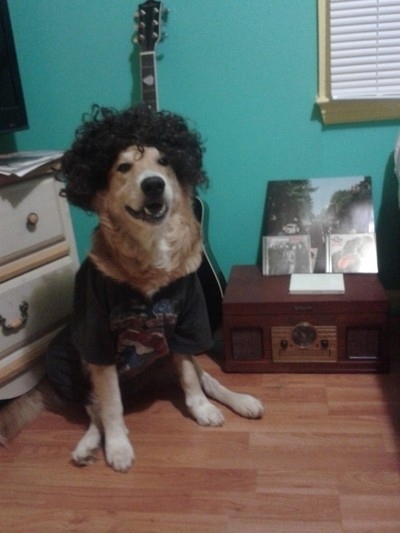 enhanced-buzz-15919-1386608215-10