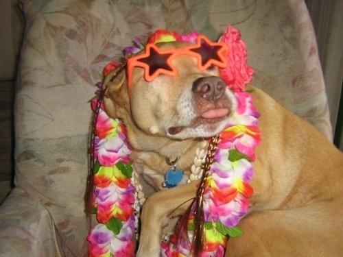 enhanced-buzz-2435-1386608438-22