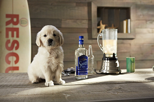 enhanced-buzz-31149-1363042597-7