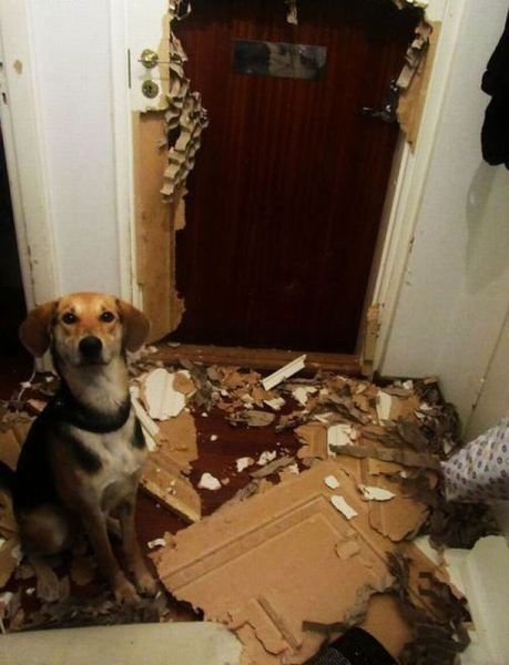 enhanced-buzz-6677-1368127169-11