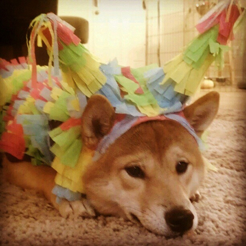 enhanced-buzz-9135-1363043694-0