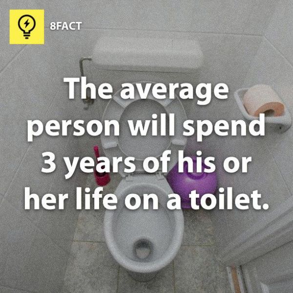 real_facts_that_are_probably_useless_to_know_15