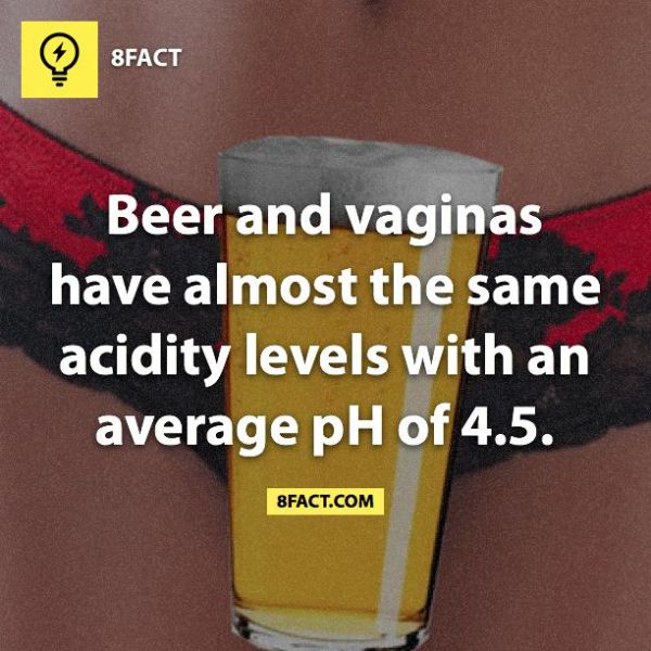 real_facts_that_are_probably_useless_to_know_24