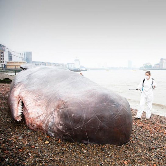 Captain-Boomer-beached-whale-london-2-545x547