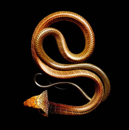 Capture d’écran 2013-06-18 à 17.07.19