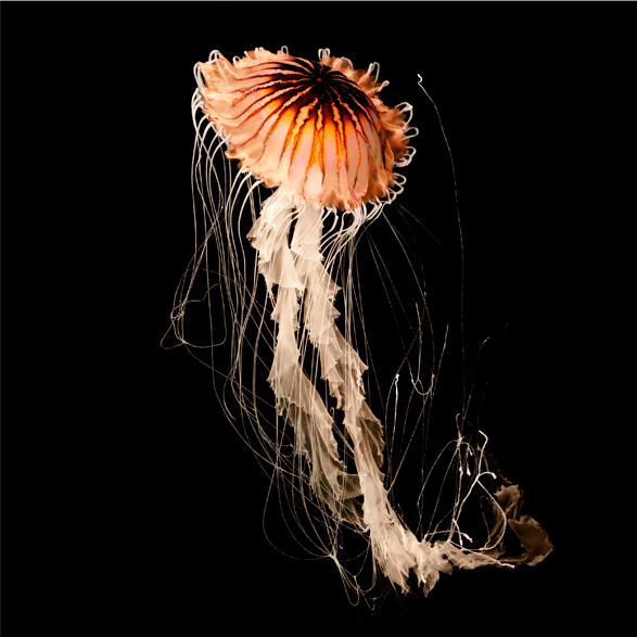 Capture d’écran 2013-06-18 à 17.17.35