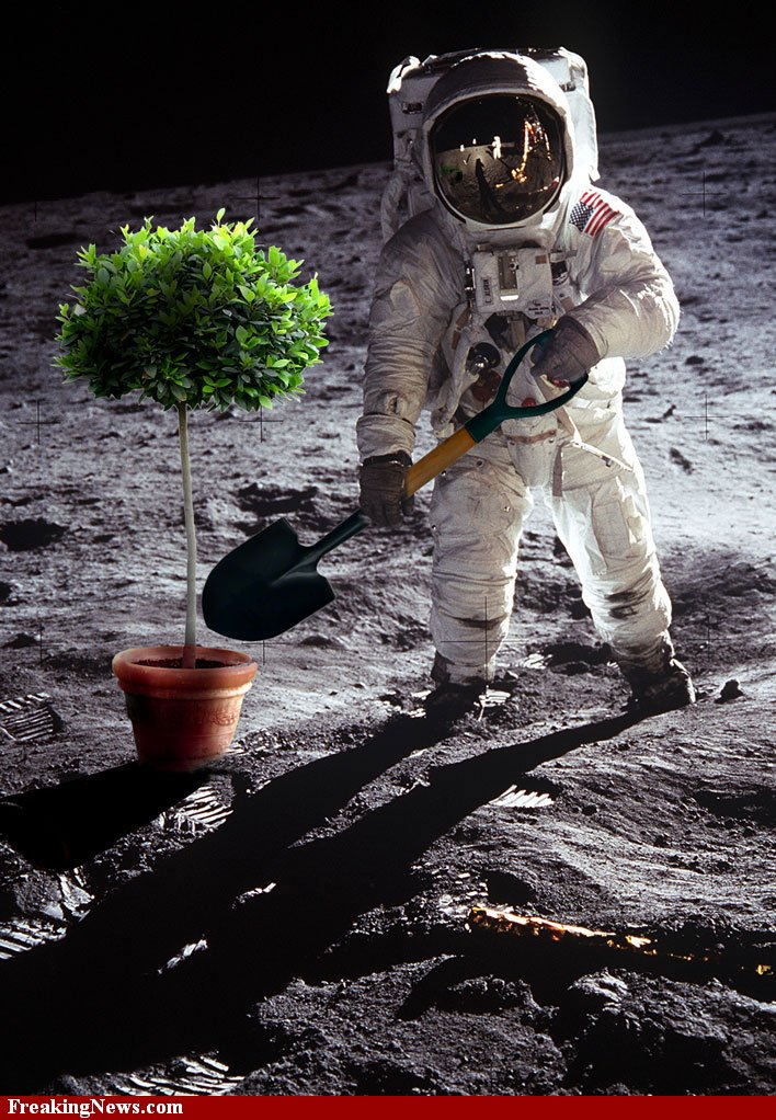 Planting-Tree-on-the-Moon--57873