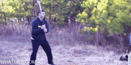 anigif_enhanced-buzz-29135-1371750656-401