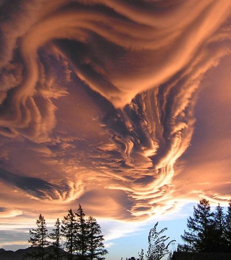 ce-tres-beau-nuage-est-aussi-un-undulatus-asperatus_126294_w460
