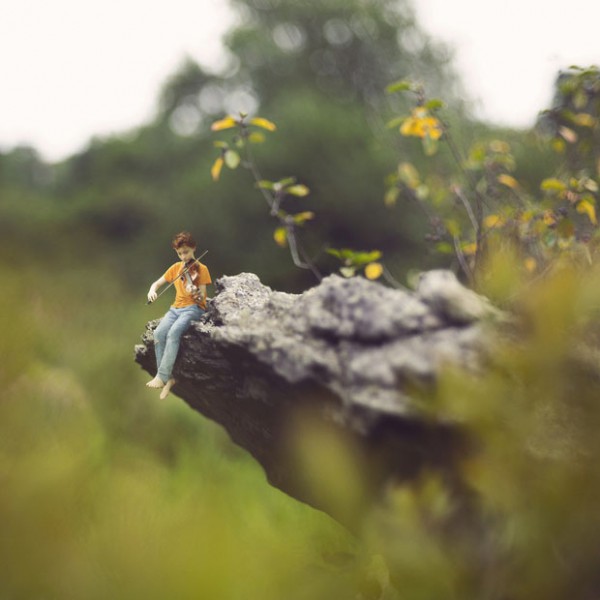 fiddleoak-15