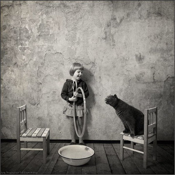AndyProkh-cat-0