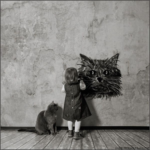 AndyProkh-cat-01