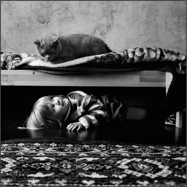 AndyProkh-cat-010