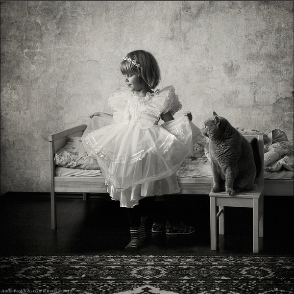 AndyProkh-cat-032
