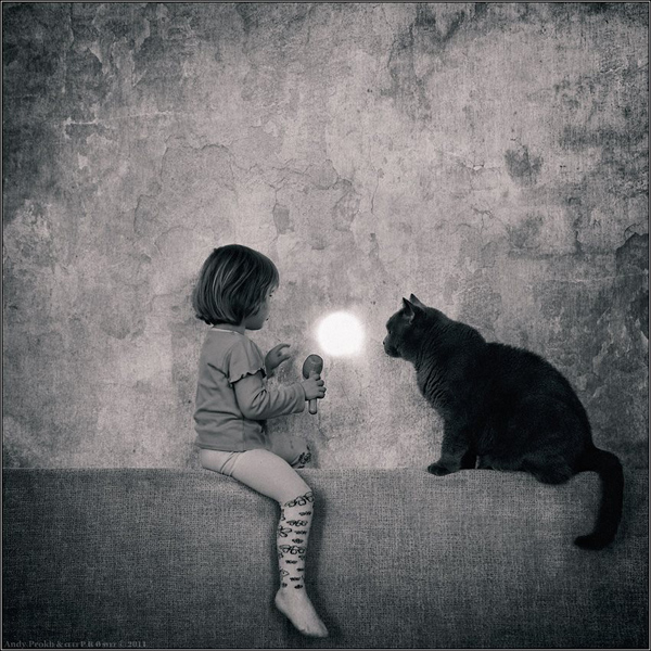 AndyProkh-cat-04