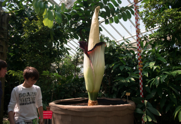 Capture d’écran 2013-07-11 à 12.31.55