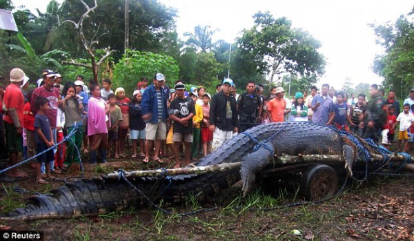 Philippines-Crocodile
