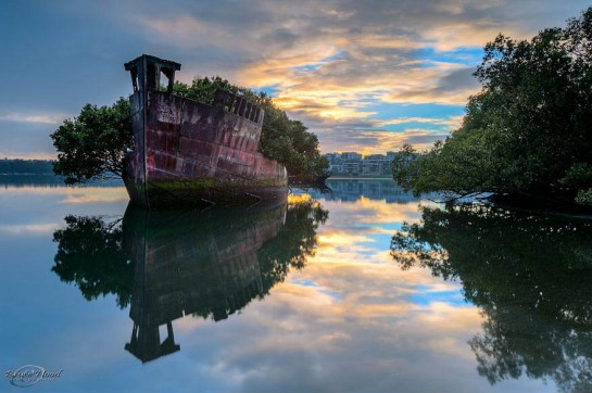 abandoned-ship-ss-ayrfield-floating-forest-1-545x362