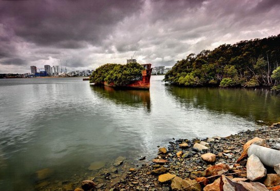 abandoned-ship-ss-ayrfield-floating-forest-2-545x372