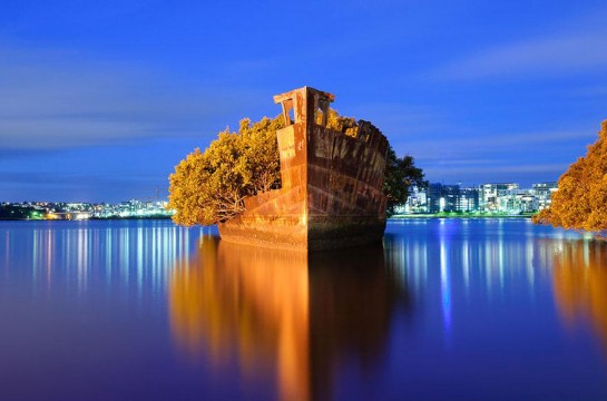 abandoned-ship-ss-ayrfield-floating-forest-3-545x360