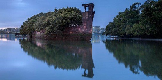 abandoned-ship-ss-ayrfield-floating-forest-5-545x270