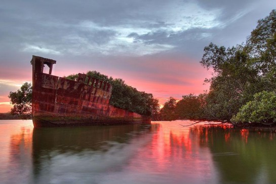 abandoned-ship-ss-ayrfield-floating-forest-7-545x363