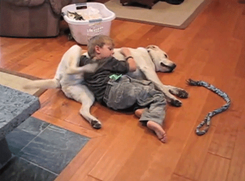 anigif_enhanced-buzz-1789-1373042416-0