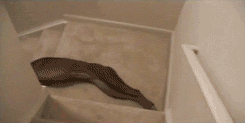 anigif_enhanced-buzz-6224-1373381285-31