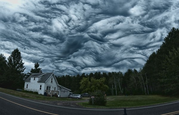 asperatus1