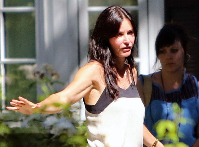 courteney-pl_reference_article (1)