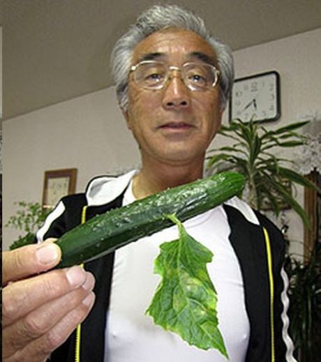 expose-aux-radiations-de-fukushima-ce-concombre-a-une-pousse-etrange_129851_w460