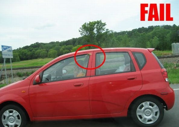 funny blondes gallery